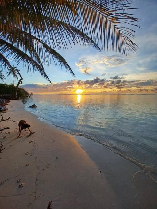 Bungalow Atypique Ti Bambou A 500M De La Plage サンタンヌ エクステリア 写真